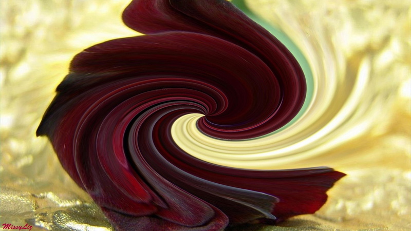 abstract, modern, 3d and abstract, 1080P, swirl, color