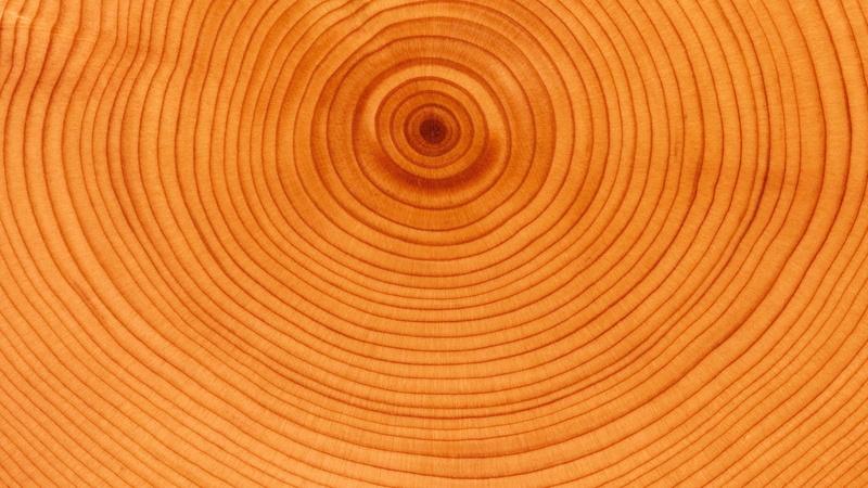swirl, whirling, texture, swirling-texture, swirling, 2K