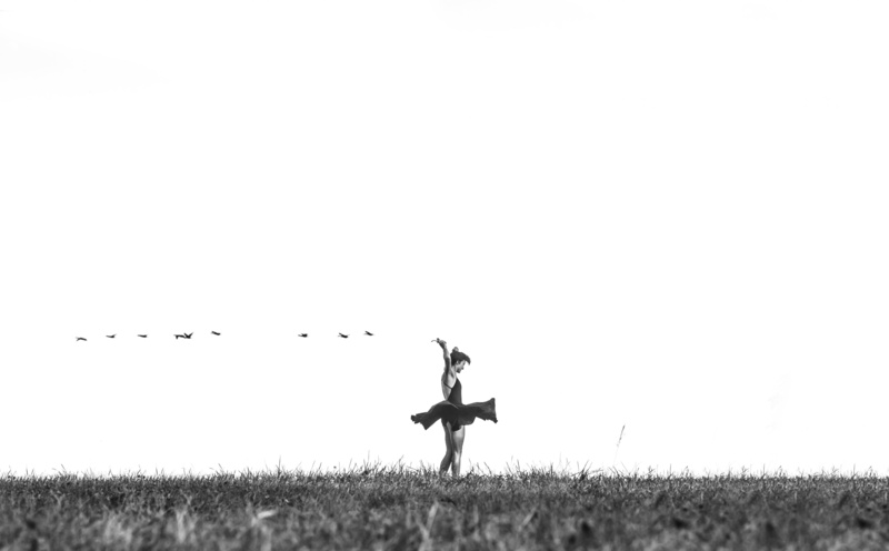 Minimalism, Girls, dress, Minimal, land, 5K, black, field, Dance, outdoors, group of animals, twirling, whirl, happiness, Mood, landscape, Girl, real people