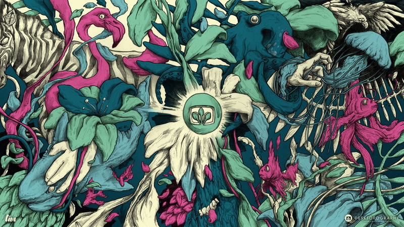 backgrounds, animals, outdoors, artwork, multi colored, shark, octopus, flower, pattern, fish, eagle, sketches, Sketchbook, jungle, art and craft, zebras