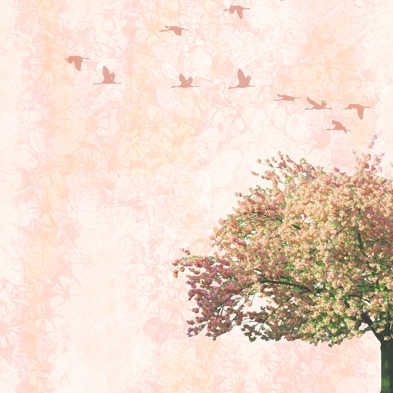 background, outdoors, ornament, white tree, plant, design, retro, nature, vintage, scrapbooking, pattern, tree, blossom, illustration, 2K, cherry blossom