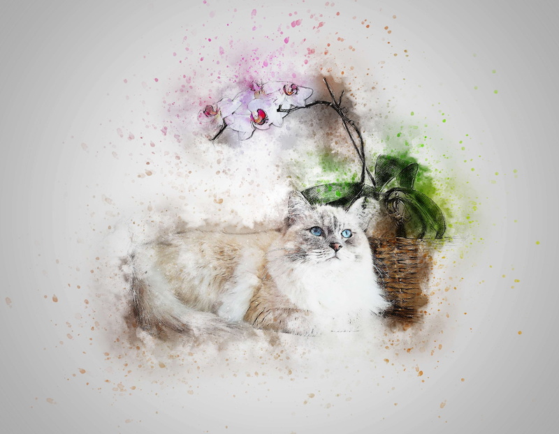 one animal, artistic, indoors, white color, pets, studio shot, whisker, directly above, pet, cat, design, art, vertebrate, vintage, 2K, emotion, feline