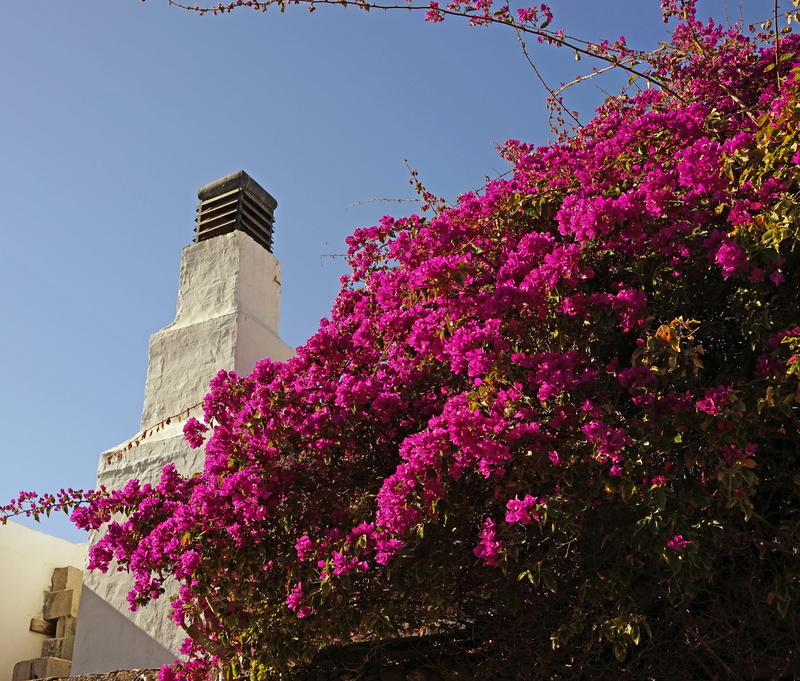 building, tower, flourishing tree, pink color, flower, springtime, nature, building exterior, fragility, cherry blossom, beauty in nature, built structure