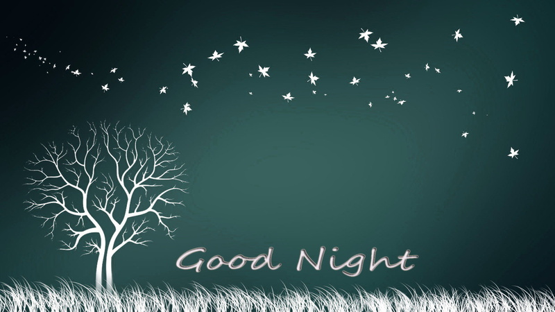 design, decorative, animal, handwriting, night, ornament, communication, decoration, blackboard, creativity, holiday, nature, shape, curve, cold, board