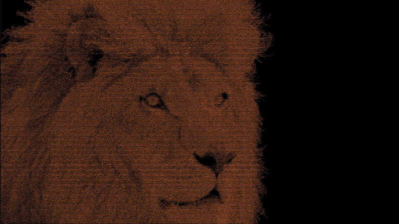 full frame, one animal, body part, orange color, animal, textile, indoors, design, simple, lion, 1080P, mammal, animals, cat, copy space, backgrounds