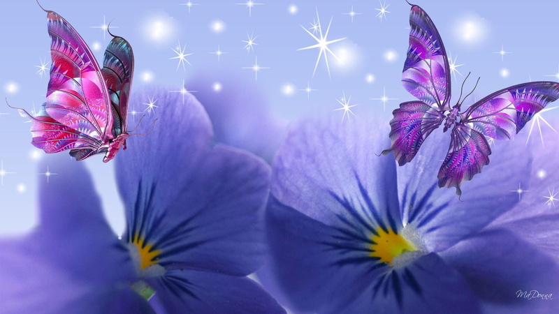 1080P, butterflies, purple, summer, flowers, violelt, glow spots, sparkles, firefox persona, 3d and abstract, pink, violets