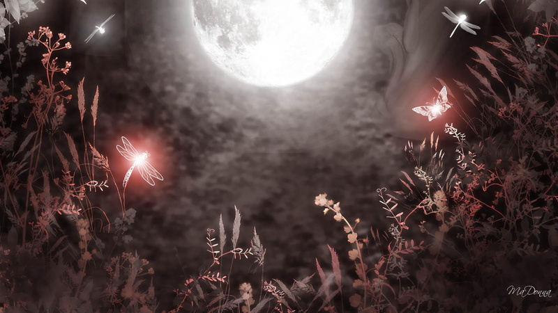 dragonfly, plants, 3d and abstract, goth, mystical, mystic, moon, fireafox persona, brilliant, dragonflies, gothic, 1080P