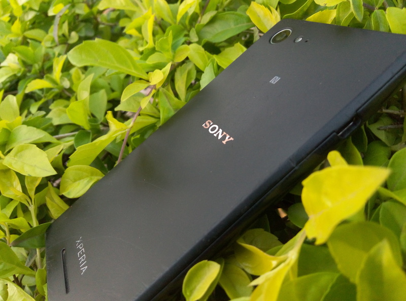 text, black color, leaf, device, freshness, western script, xperia, growth, plant part, flower, grass, green, no people, sony, selective focus, phone, lost