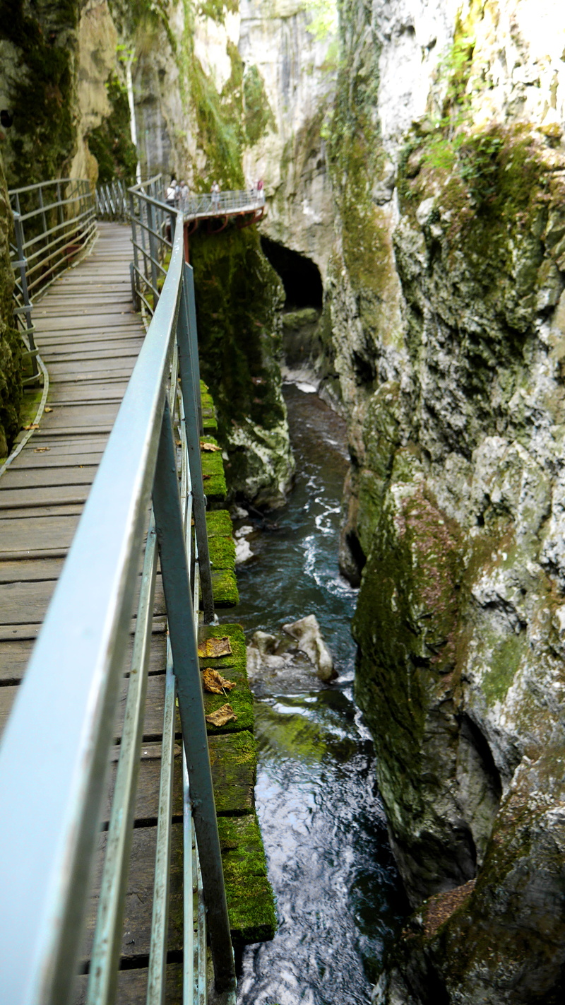 hdwallpaper, bridge - man made structure, water, railing, built structure, outdoors, day, flowing, no people, 5K, tree, architecture, bridge