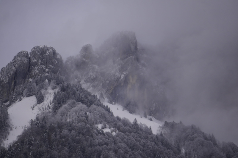 avalanche, conifer, cold temperature, mountain, landscape, idyllic, winter, plant, fog, fir, tree, tranquil scene, scenics - nature, outdoors