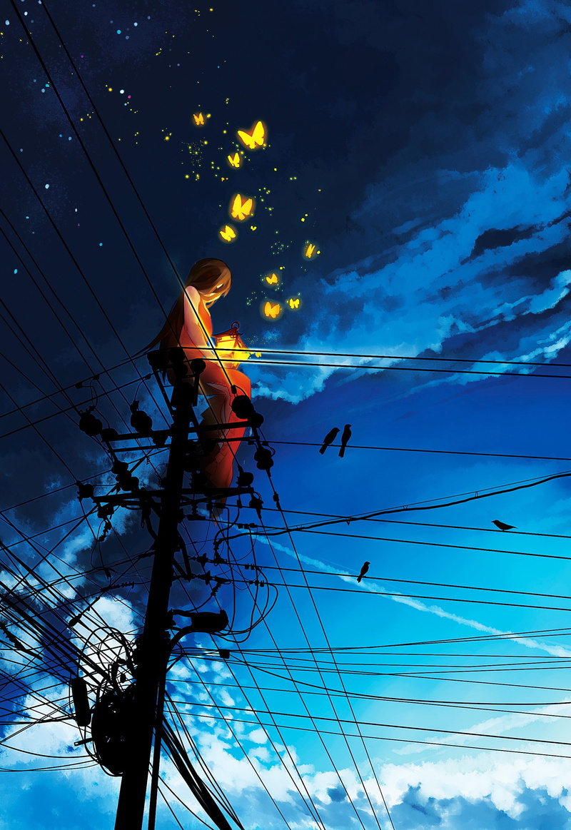 cloud - sky, connection, architecture, power supply, electricity pylon, bird, technology, silhouette, nature, telephone line, fuel and power generation