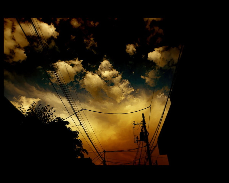 connection, telephone line, electricity, low angle view, untitled, plant, cable, building, cloud - sky, nature, outdoors, building exterior, electricity pylon