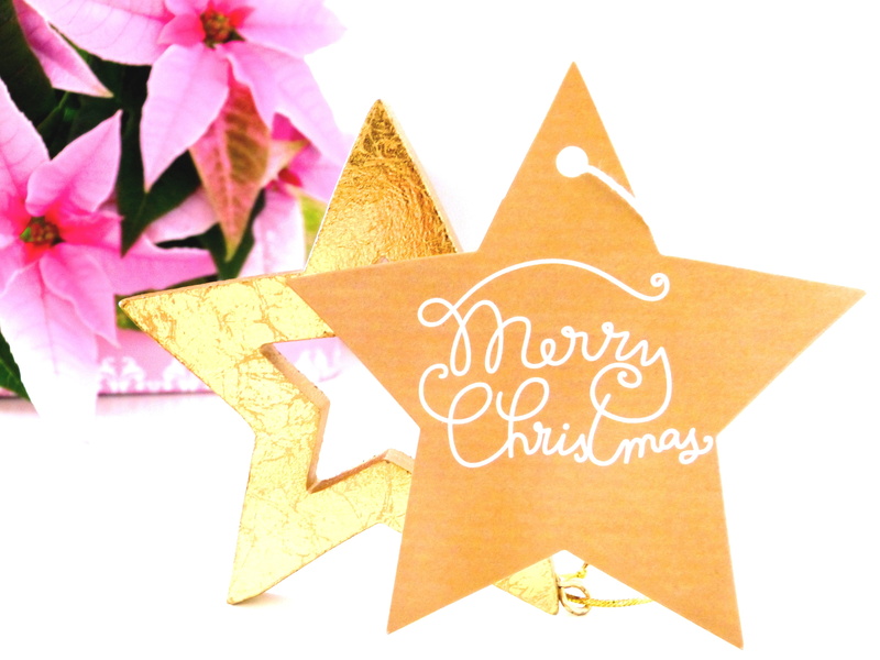 close-up, indoors, yellow, merry, christmas, adventsstern, advent, mail, table, decoration, decor, flowering plant, pink, letter, greeting card, no people