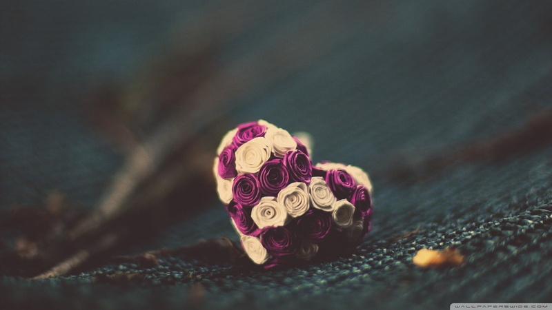 freshness, rose, wood - material, art and craft, warm clothing, close-up, plant, personal accessory, wool, beauty in nature, food and drink, selective focus