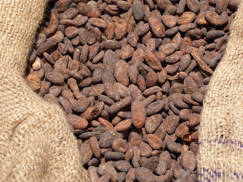 cocoa, freshness, close up, healthy eating, day, still life, raw material, jute, textured, tree, full frame, pod, wellbeing, detail, beans, import, lot