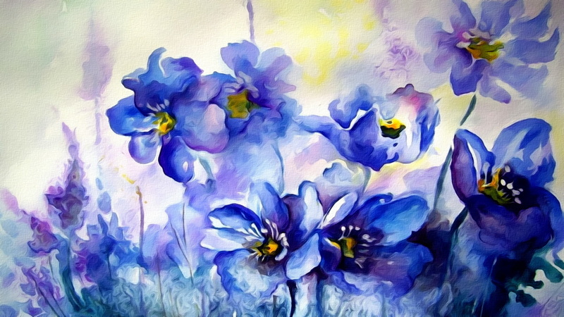 1080P, watercolor, texture, spring, painting, primroses, paint, flowers, figure