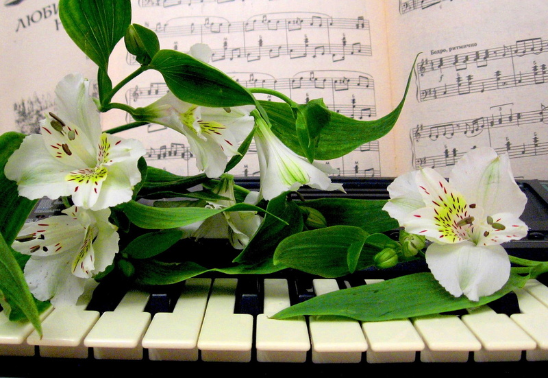 beautiful, piano, re, flowers, music, 3d and abstract, to you, melody, 1080P
