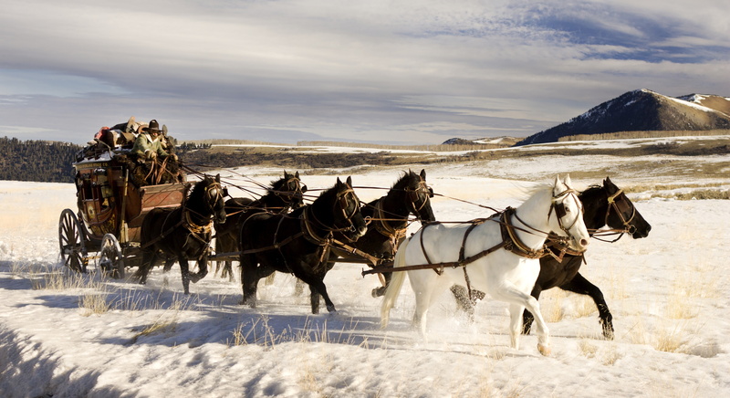 the hateful eight, 5K
