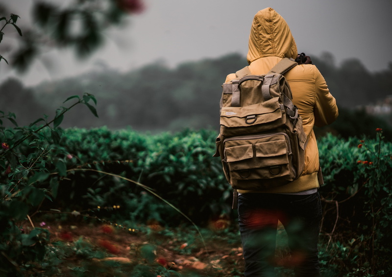 yellow, vacations, plant, autumn, camera, journey, people Traveling, one Man Only, blur, adventurer, tourist, one Person, men, mountain, recreational Pursuit