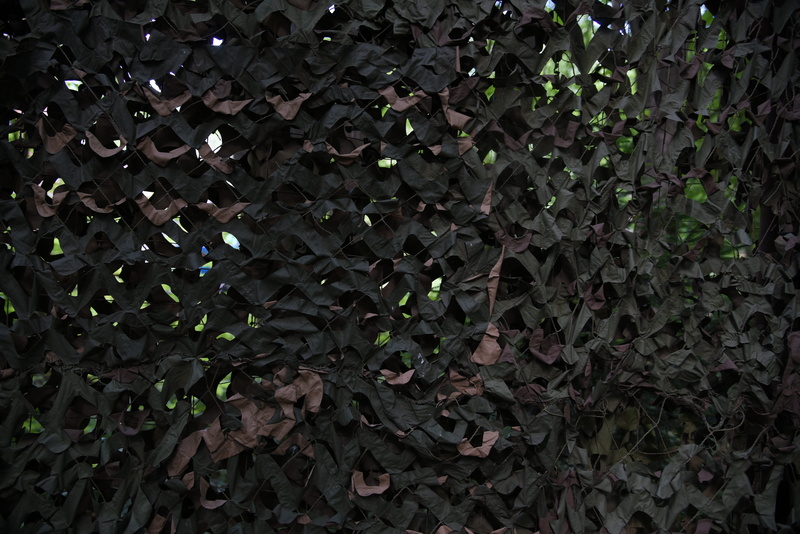 camo, beauty in nature, backgrounds, network, growth, full frame, leaf, green color, tree, leaves, khaki, abundance, creeper plant, close-up, no people
