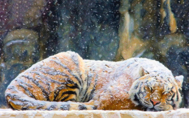 winter, art, paintings, cats, snow, flakes, 1080P, gallery, tiger, picture