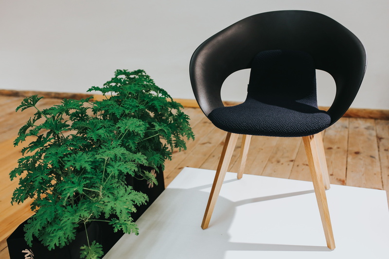 still life, black color, leaf, no people, chair, installation, various, growth, nature, design, plant part, houseplant, tables, plant, wood - Material