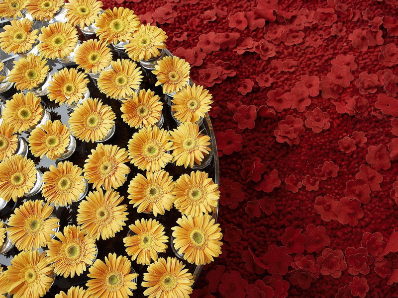 exhibition, art, 720P, floral, hd, flowers