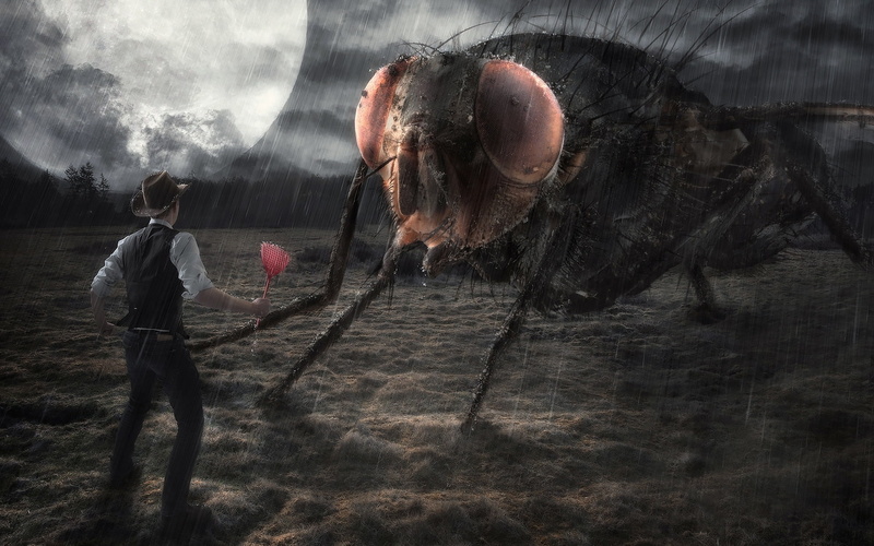1080P, Moon, Design, Night, Man, Creative, Rain, Housefly