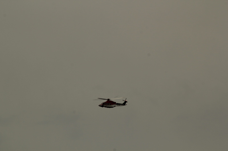 one animal, animal wing, housefly, no people, animal, fly, cut out, indoors, insect, helicopter, 5K, studio shot, invertebrate, animal body part, animals in the wild