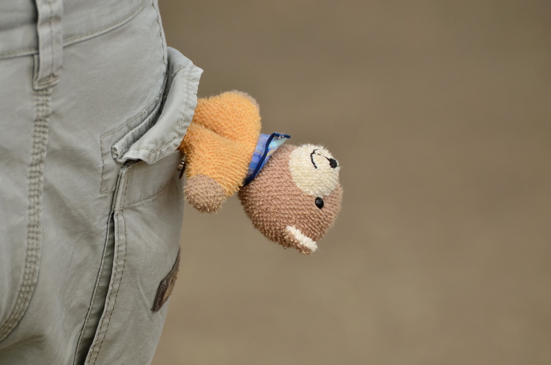 colored background, teddy, childprotect, innocence, softness, human body part, child abuse, holding, toys, indoors, copy space, hoax, stuffed toy, upside down