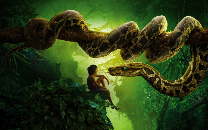 mowgli, posters, sea, sea life, kaa, water, jungle, one animal, lifestyles, wal, vertebrate, animals in the wild, animal wildlife, movies, real people