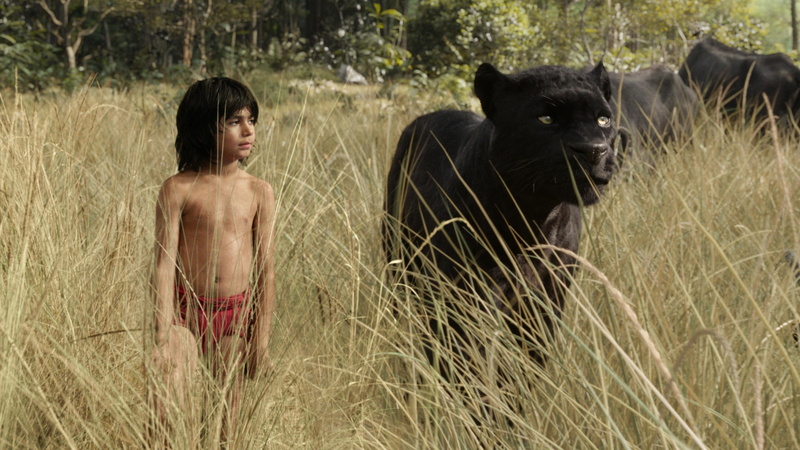 scene, boy, fantasy, Best movie of 2016, panther, Bagheera, adventure, The Jungle Book, book, beside, jungle, black, standing, movie, 4K, Mowgli