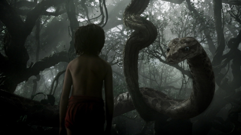 fantasy, adventure, 4K, The Jungle Book, Mowgli, Best movie of 2016, Kaa