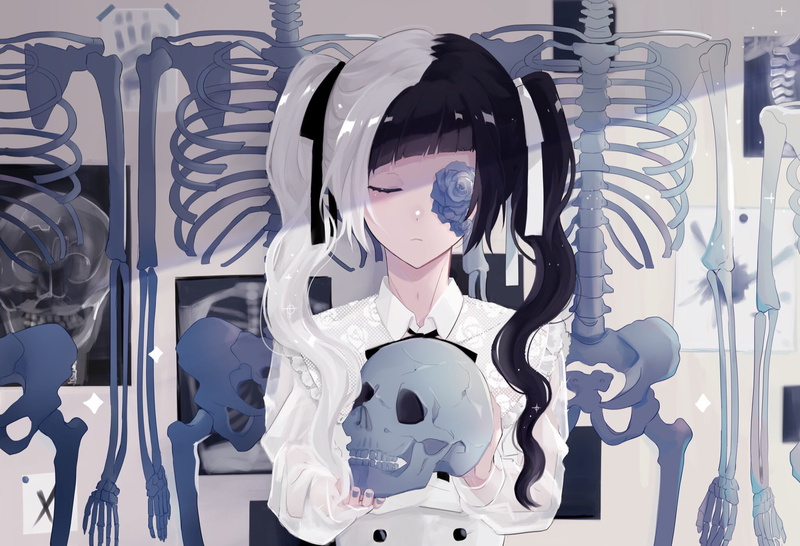 Skull, Twintails, 1080P, Two-Toned Hair, Long Hair, White Hair, Black Hair, Anime, Original