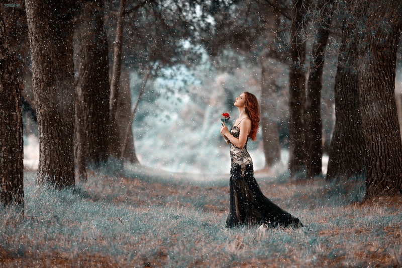 redhead, forest, long hair, beautiful people, adult, young adult, women outdoors, elegance, glamour, rose, looking up, nature, clothing, tree, dress, beauty