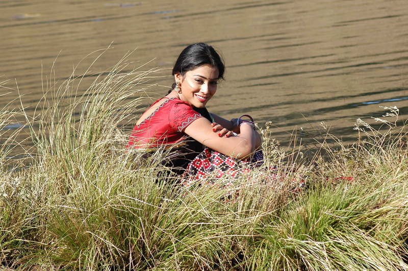 2K, shriya, saran