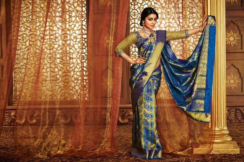 Actresses, 1080P, Shriya Saran
