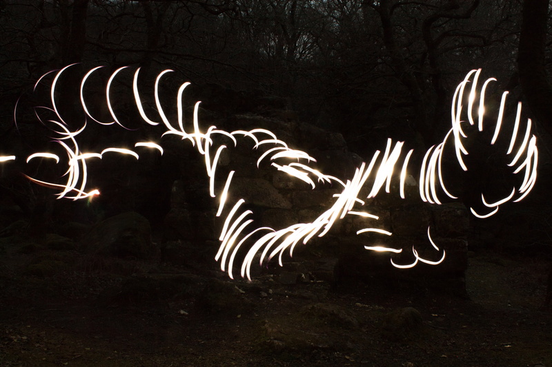 tree, blurred, motion, long exposure, outdoors, illuminated, dark, exposure, no people, art and craft, lighttrail, animal wildlife, bright, light trail