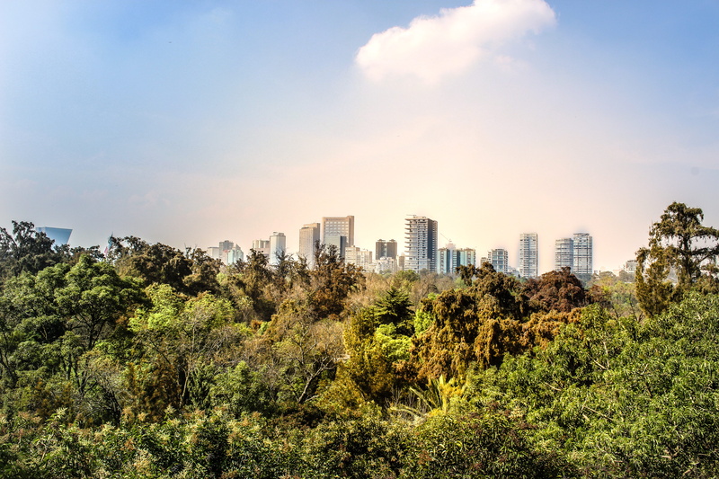 landscape, modern, building exterior, mexico city, sunlight, jungle, city, tree, metropolis, 5K, office building exterior, plant, vegetation, rainforest