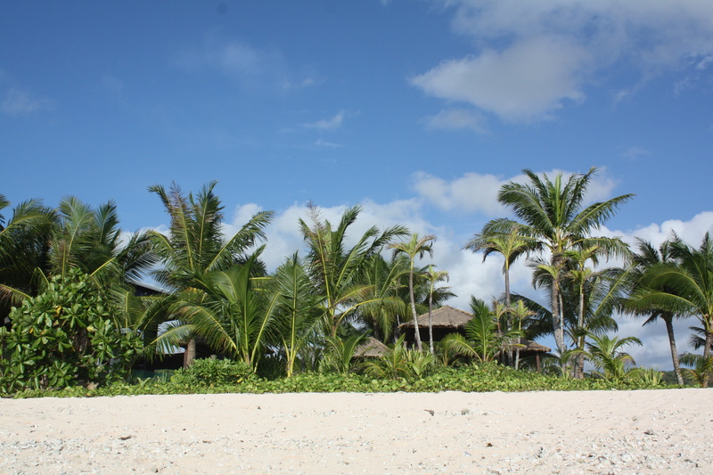 sky, tropical climate, palm leaf, green color, Nikko Hotels, scenics - nature, no people, land, water, growth, 4K, outdoors, palm tree, Guam, agriculture