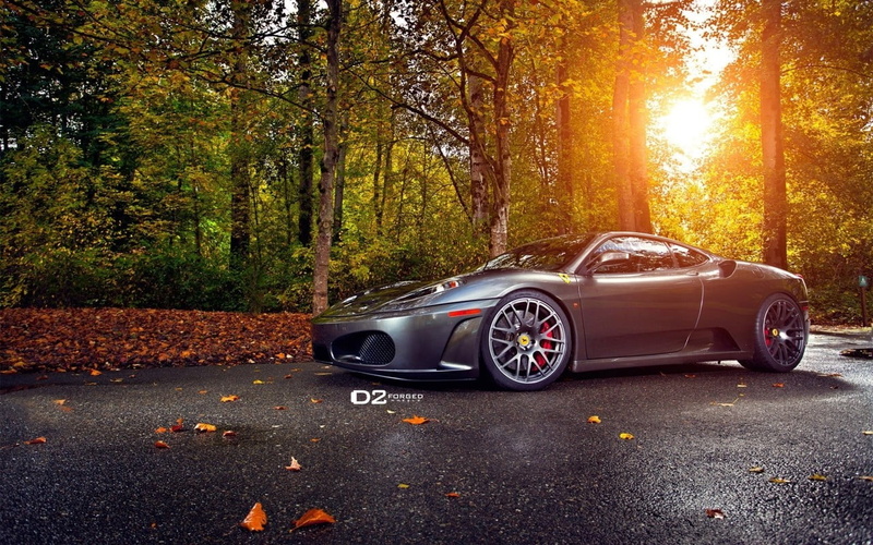 land vehicle, Ferrari F430, mode of transportation, luxury, forest, land, transportation, car, tree, orange color, change, leaf, 720P, plant part, no people