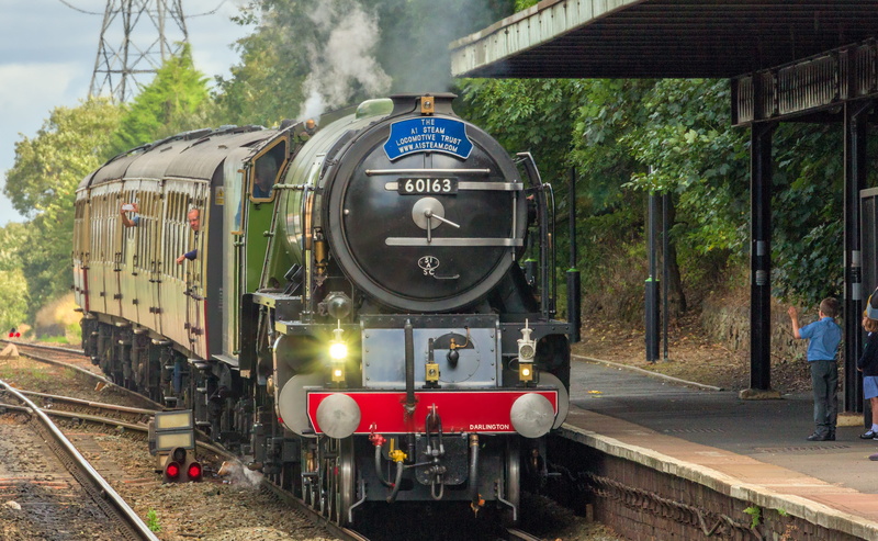 tree, public transportation, transportation, locomotive, railroad car, nature, railroad station, plant, train, mode of transportation, number, Steam Engine