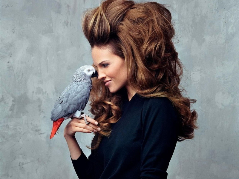 star, parrot, scenery, hilary, beautiful, 720P, swank, cute