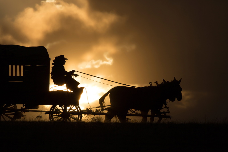 The Homesman, 5K, Tommy Lee Jones, Local, Hilary Swank, drama, Western