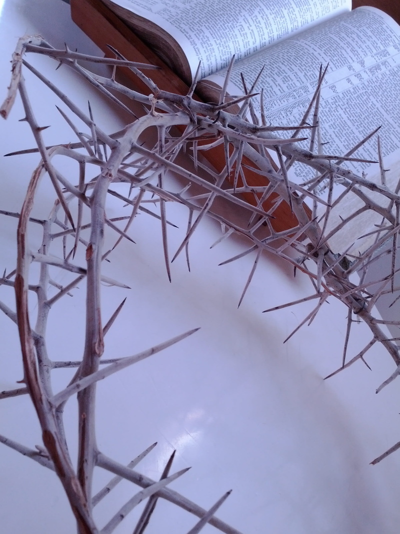 tangled, christian, built structure, christ, still life, opened, creativity, branch, craft, beige, crown, book, jesus, architecture, bare tree, day, nature