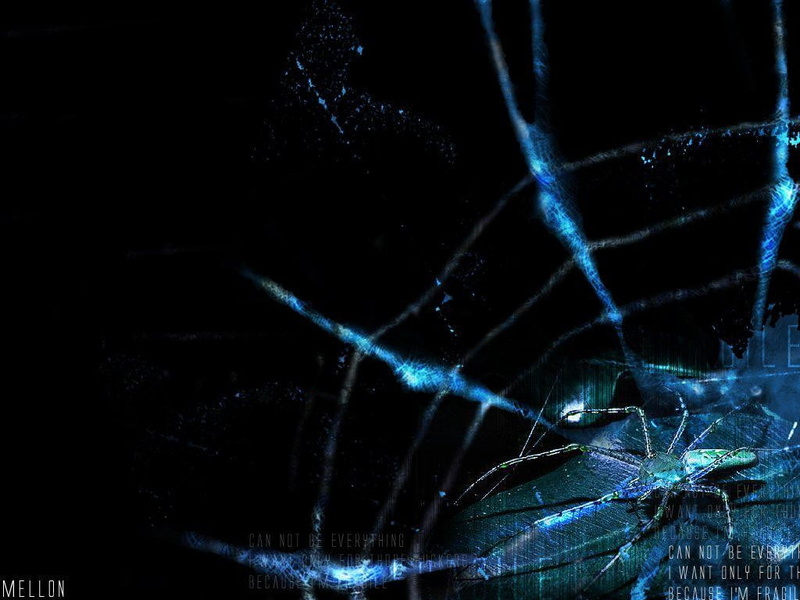 480P, fragility, close-up, black background, arthropod, spider web, no people, spiderwebs, vulnerability, blue, chain, invertebrate, arachnid, insect