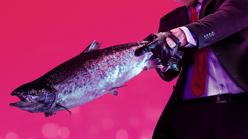 4K, poster, artwork, 4K, Hitman 2, E3 2018