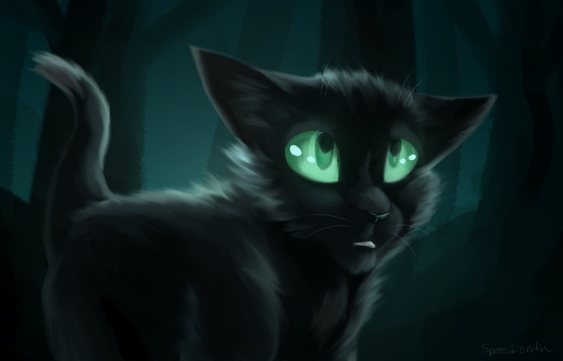 Ravenpaw, Cats-Warriors, 1080P, Burnt, by Speedienth