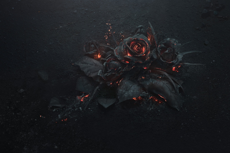 high angle view, 5k, glowing, heat - temperature, coal, outdoors, fire, directly above, flame, red, dark, field, 4k, orange color, flowers, fire - natural phenomenon