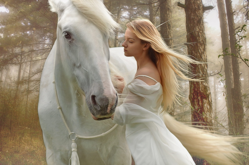 romantic, women, female, beautiful woman, livestock, gothic, wood, pets, real people, domestic, one person, 2K, domestic animals, tree, fantasy, blond hair